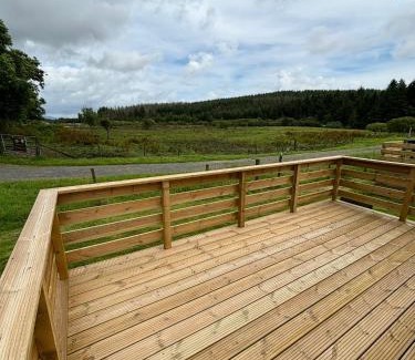Balminnoch Other | 131 Loch View Three Lochs Holiday Park