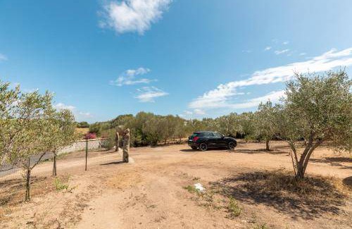 Olbia Bed & Breakfast | 14 m² Bed and breakfast ∙ 2 guests