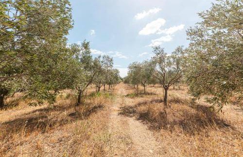 Olbia Bed & Breakfast | 14 m² Bed and breakfast ∙ 2 guests