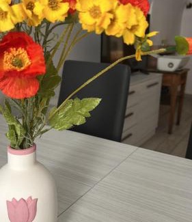 L'Aquila Apartment | Discover 141 VIA ROMA: Pet and Child Friendly Retreat