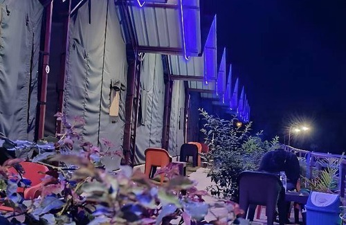 Shivpuri Bed & Breakfast | Cozy Bed and Breakfast for 4 with Pet-Friendly Perks