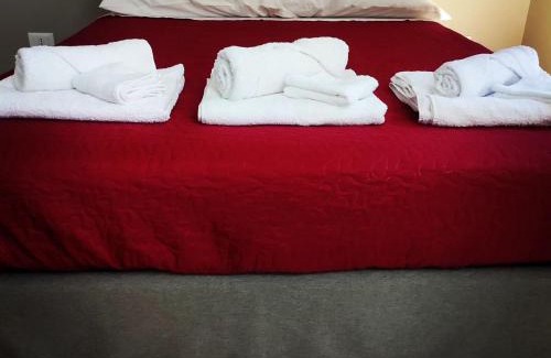 Celio Apartment | Steps from the Colosseum - Minerva Apartment Awaits You