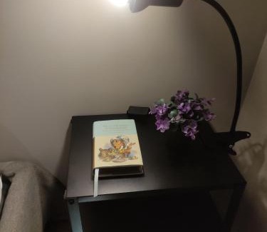 Celio Apartment | Steps from the Colosseum - Minerva Apartment Awaits You