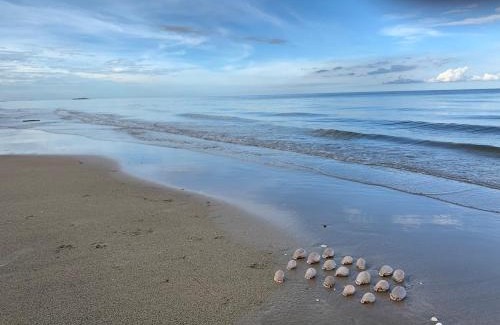 Thong Chai House | Explore 155 SalaCoco: Pet-Friendly Retreat by the Ocean