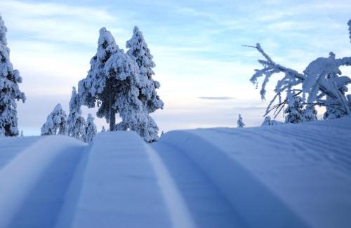 Ljordal Apartment | Explore Nature: 16-Nasjonalpark with Family-Friendly Fun