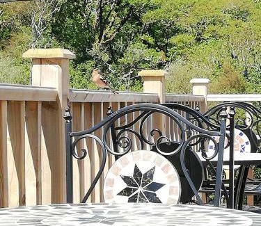 Glengarriff Bed & Breakfast | Eco-Friendly Bed and Breakfast for Up to 3 Guests