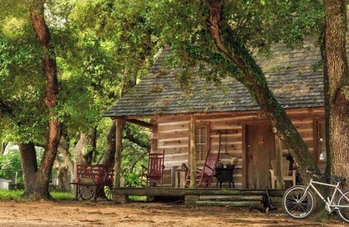 Cat Spring Cabin | 1800-style cedar Log Cabin on Blisswood Ranch with many optional activities!