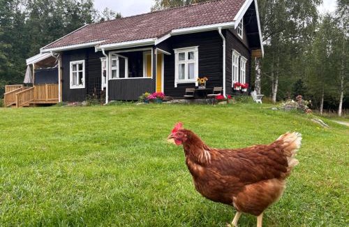 Eidsvoll House | 1850 Old Farmhouse Retreat with jacuzzi and sauna
