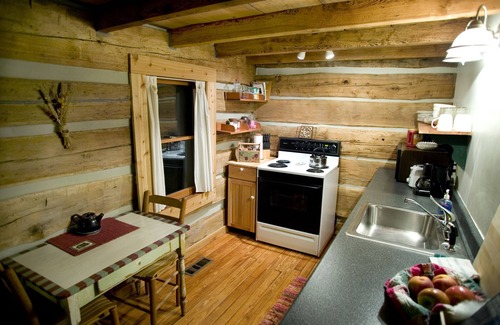 Clinton Cabin | Charming Foust Cabin: 1860 Log Home with Breakfast & Kitchen