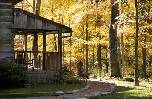 Clinton Cabin | Charming Foust Cabin: 1860 Log Home with Breakfast & Kitchen