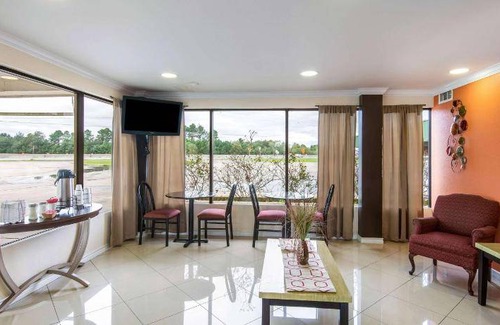 Winnie Hotel | Pet-Friendly Retreat for 127 Guests | Rated 8/10