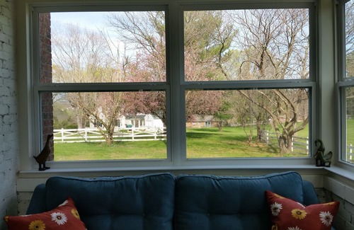 Lexington House | 1926 Guest House: Prime Location Near Virginia Horse Center