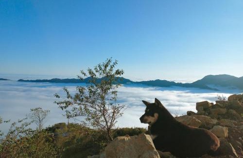 Bac Yen Apartment | Cozy 1941M Homestay Tà Xùa with Family-Friendly Amenities
