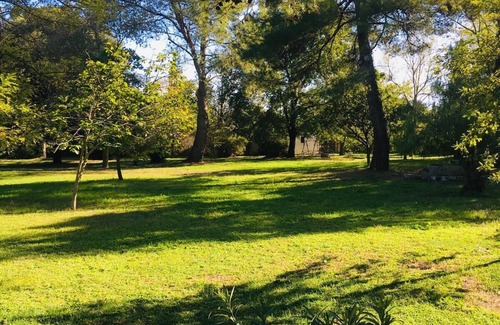 Mottola House | 19th century farmhouse with park and pool in the center of Puglia
