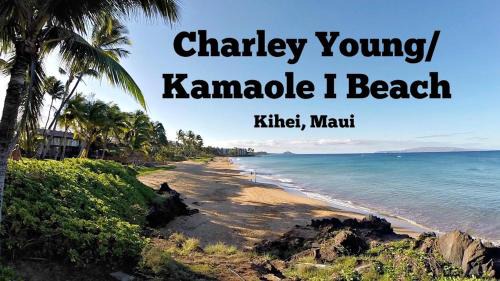 Kihei Apartment | Oceanfront 1BD Condo with Pool & Breathtaking Views