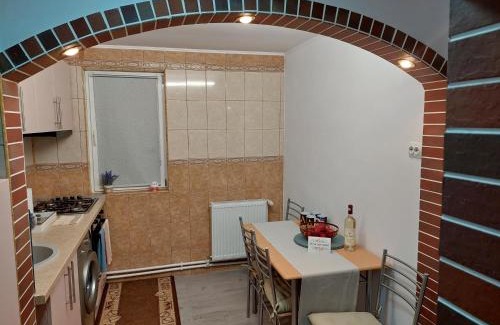 Nehoiu Apartment | Delightful 1st Apartment with Breakfast & Hot Tub Access