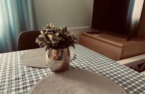 Betzweiler Apartment | Pet-Friendly 1Zi Ferienwohnung for Business Travelers in Loßburg