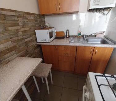 Lviv City Center Apartment | Comfortable 2-Bedroom Apartments Near Pl Rynok