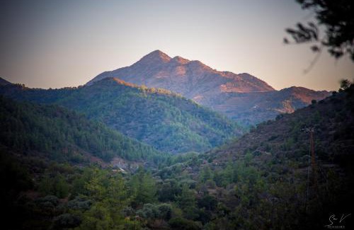 Gourri House | Cozy 2-Bedroom Log House in the Mountains - Rated 9.7/10