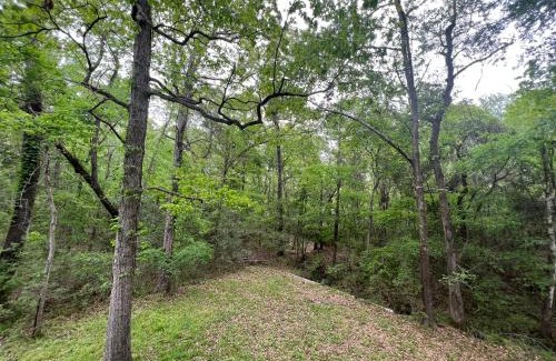 Montgomery House | Relaxing Treehouse Hideout at Lake Conroe with Boat Ramp