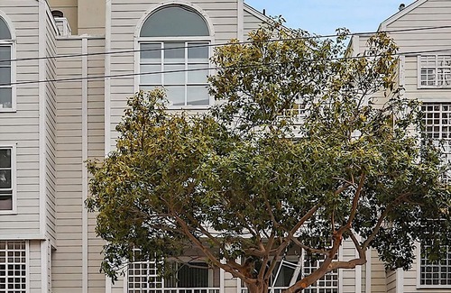 Fillmore District Apartment | Cozy 2-Bed Condo by Jefferson Square Park, Ideal for Families