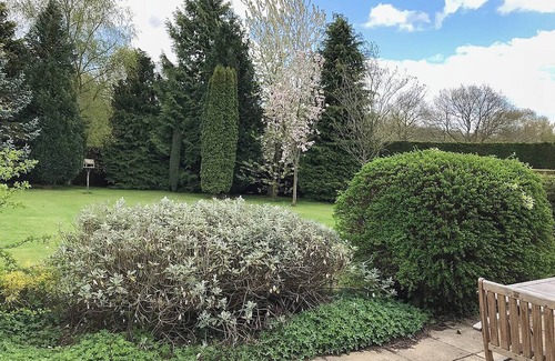 Barney Cottage | Pet-Friendly 2 Bedroom Retreat in Barney, Near Fakenham