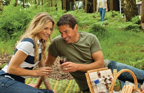 Edwinstowe Cabin | 2 bedroom accommodation in Sherwood Forest, Rufford