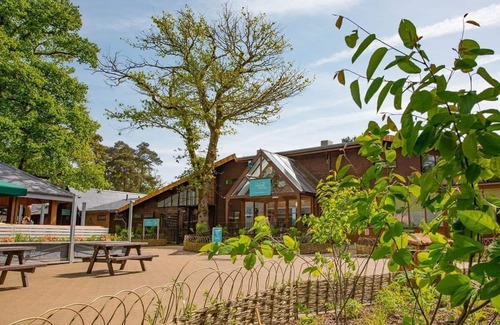 New Forest District Ski Chalet | Inviting 2 Bedroom Accommodation in Godshill, Fordingbridge