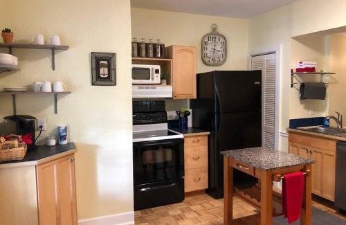 Downtown Dunedin Apartment | Beautiful 2 Bedroom Apartment with Ocean View in Dunedin