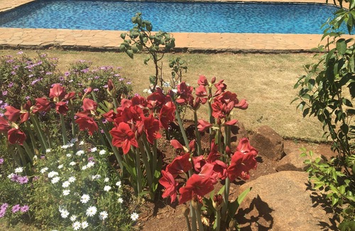 Ryelands House | Elegant 2 Bedroom Executive Home with Private Pool & Kitchen