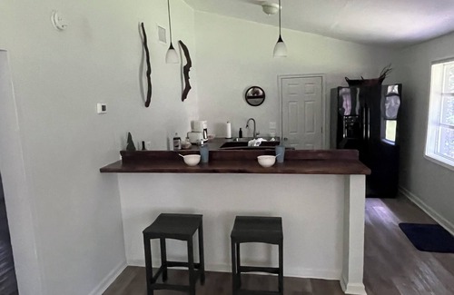 Middleburg House | 2-bedroom house on peaceful Black Creek with Private Dock