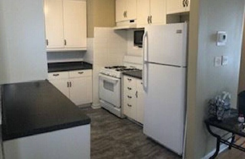 Steger Apartment | Modern 2 Bedroom Apartment Near Chicago with Spa & Hot Tub