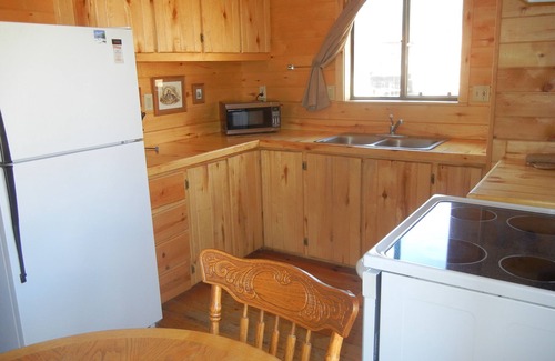 Greer Cabin | Pet-Friendly 2 BR Cabin on Main Street with Trout Pond