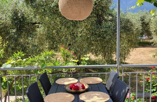 Skala Potamias House | Idyllic Cottages Amid Olive Groves with Pool & Ocean Views