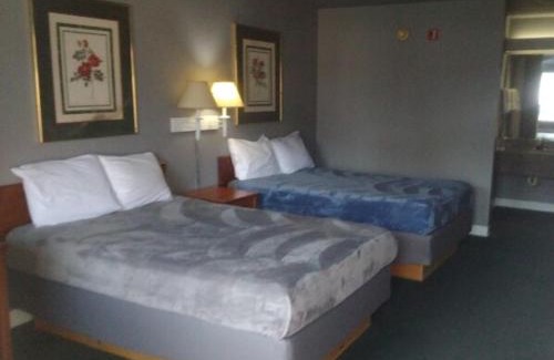 Livingston Apartment | 2 Double Bed Hotel Studio 203