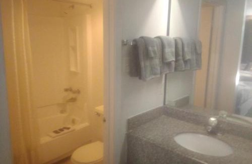 Livingston Apartment | 2 Double Bed Hotel Studio 203
