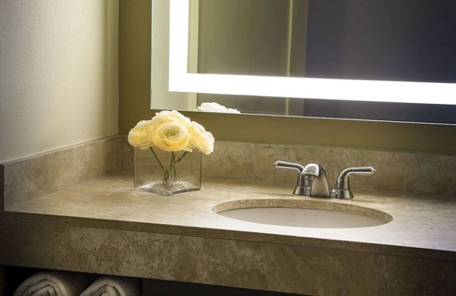 Lakeway Hotel | Explore Pet-Friendly Retreats at Lakeway Resort & Spa