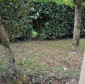 Peloux-Mail Apartment | 2 pièces rénové en rez-de-chaussée proche de la gare