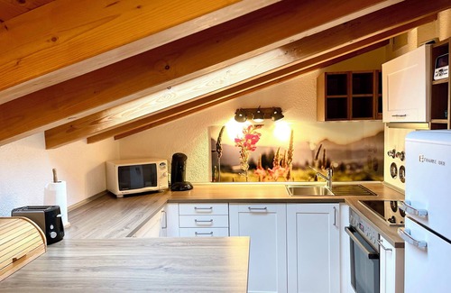 Obermaiselstein Apartment | Cozy 2-Room Alpchalet with Spa & Pet-Friendly Amenities