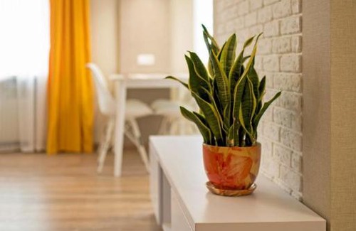 Svitlogirske Apartment | Central Poltava: Pet-Friendly 2 Room Apartment, Rated 9.8