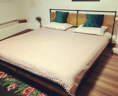 Saschiz House | Cozy 2 Rooms at Saschiz Inn - Pet and Child Friendly Stay