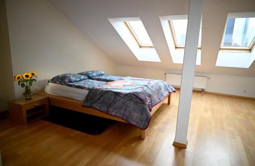 Kesklinn Apartment | Pet-Friendly Apartment Steps from the Bus Station
