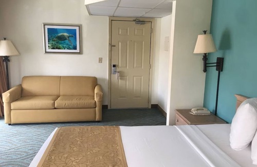Seabreeze Park Hotel | 2 Units | Daytona Beach Getaway | Experience Local Attractions & Ocean Escape
