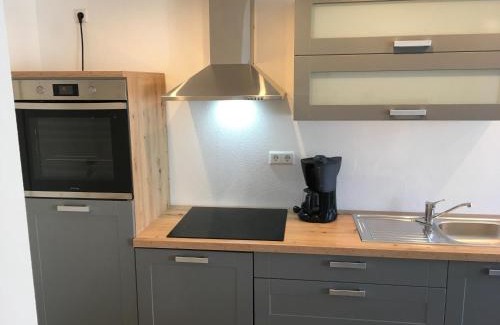 Oberharmersbach Apartment | Pet-Friendly Oceanfront Retreat: 2 Z. FeWo barbo-Wanderparadies