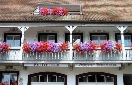 Uehlingen-Birkendorf Apartment | Comfortable 2-Zimmer-Wohnung "Silberdistel" for Families