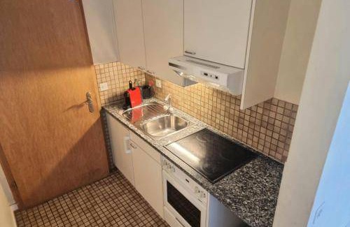 Plainpalais Apartment | Cozy Eco-Friendly Serviced Apartment for 3 Guests