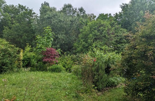 Kritzendorf House | Relaxing Retreat: 20 Min to Vienna Surrounded by Nature