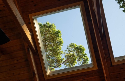 Huskisson Cabin | Ideal Cabin Compound for 20 in Heart of Huskisson