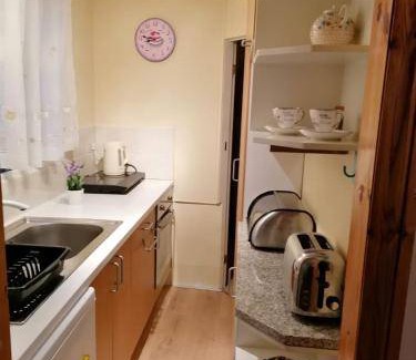 Aberystwyth Cabin | Cozy Lodge for 2 with Kitchen & Pet-Friendly Amenities