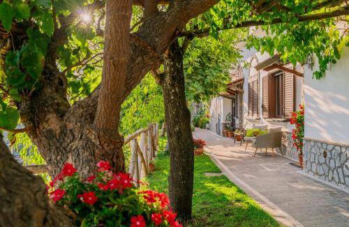 Ravello Bed & Breakfast | Cozy Bed and Breakfast with Pool for 3 Guests